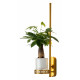 Настенный светильник Favourite Greenery 4050-1W