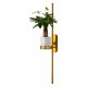 Настенный светильник Favourite Greenery 4050-2W