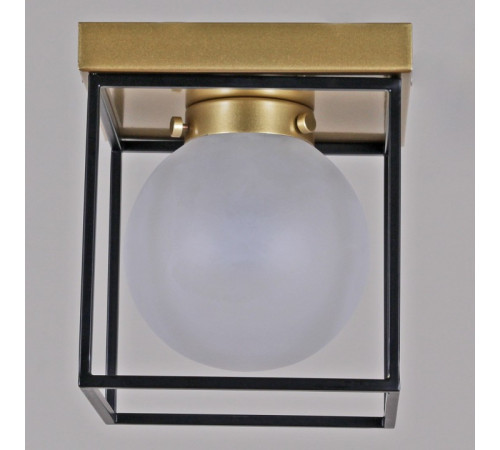 Потолочный светильник Illumico IL0050-1C-79