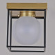 Потолочный светильник Illumico IL0050-1C-79