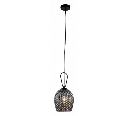 Подвесной светильник Indigo Armonia 11001/1P Black V000085 Подвесной светильник Indigo Armonia 11001/1P Black V000085