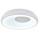 Потолочный светильник Indigo Cratere 14016/1С White V000152L