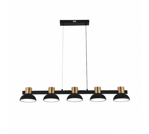 Подвесной светильник Indigo Traforo 11059/5PL Black V000184L Подвесной светильник Indigo Traforo 11059/5PL Black V000184L