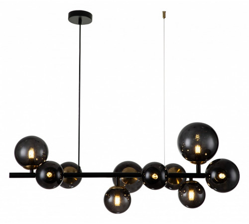 Подвесная люстра Indigo Molecola 11018/10P Black V000196