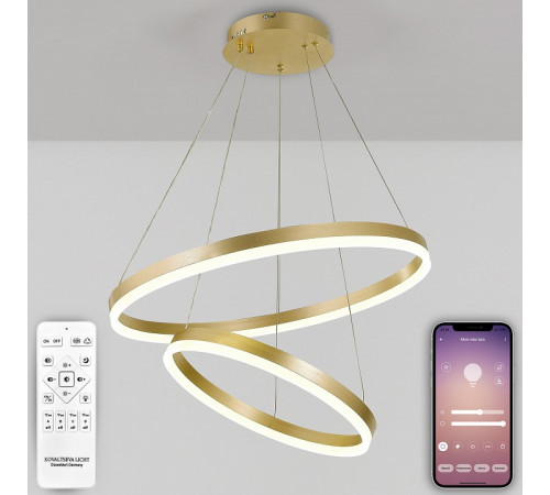 Подвесная люстра Natali Kovaltseva Oreol LED LAMPS 81299