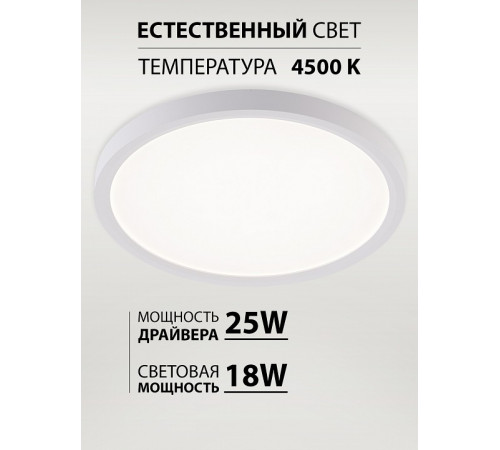Потолочный светильник Natali Kovaltseva Plain LED LAMPS 81113/2C Потолочный светильник Natali Kovaltseva Plain LED LAMPS 81113/2C