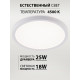 Потолочный светильник Natali Kovaltseva Plain LED LAMPS 81113/2C