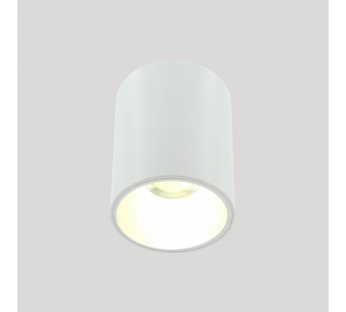 Накладной светильник Lightera Shamrock LE200CL-1W Накладной светильник Lightera Shamrock LE200CL-1W