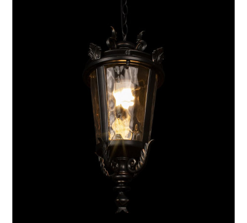 Уличный подвесной светильник Loft IT Verona 100003P