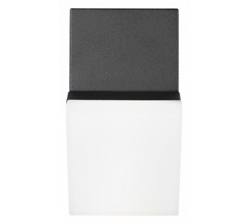 Уличный настенный светильник Loft IT Eterno 100010/A