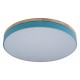 Потолочный светильник Loft IT AXEL 10001/36 Blue