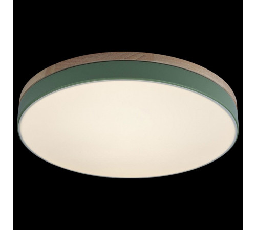 Потолочный светильник Loft IT AXEL 10001/36 Green Потолочный светильник Loft IT AXEL 10001/36 Green