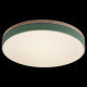 Потолочный светильник Loft IT AXEL 10001/36 Green