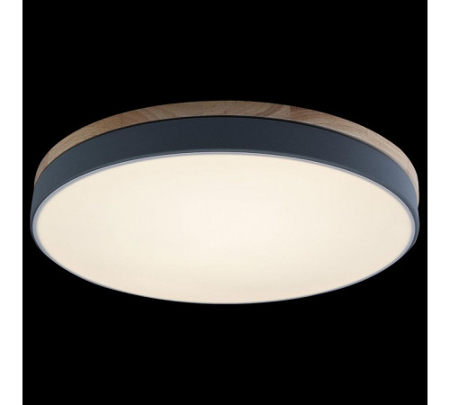 Потолочный светильник Loft IT AXEL 10001/36 Grey