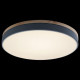 Потолочный светильник Loft IT AXEL 10001/36 Grey