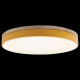 Потолочный светильник Loft IT AXEL 10001/36 Yellow