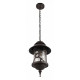 Уличный подвесной светильник Loft IT Prato 100021P