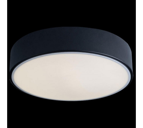 Потолочный светильник Loft IT AXEL 10002/12 Black Потолочный светильник Loft IT AXEL 10002/12 Black