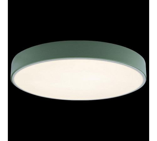 Потолочный светильник Loft IT AXEL 10002/24 Green Потолочный светильник Loft IT AXEL 10002/24 Green