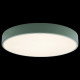 Потолочный светильник Loft IT AXEL 10002/24 Green