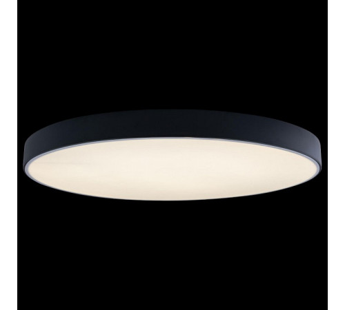 Потолочный светильник Loft IT AXEL 10002/48 Black Потолочный светильник Loft IT AXEL 10002/48 Black
