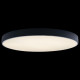 Потолочный светильник Loft IT AXEL 10002/48 Black