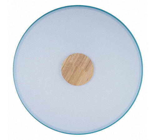 Потолочный светильник Loft IT AXEL 10003/24 Blue Потолочный светильник Loft IT AXEL 10003/24 Blue
