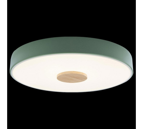 Потолочный светильник Loft IT AXEL 10003/24 Green Потолочный светильник Loft IT AXEL 10003/24 Green