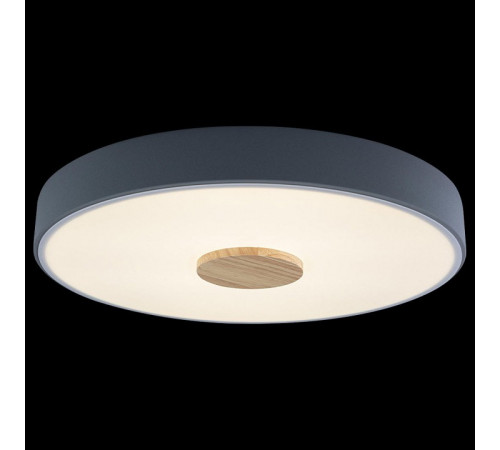 Потолочный светильник Loft IT AXEL 10003/24 Grey Потолочный светильник Loft IT AXEL 10003/24 Grey