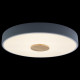 Потолочный светильник Loft IT AXEL 10003/24 Grey
