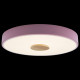 Потолочный светильник Loft IT AXEL 10003/24 Pink