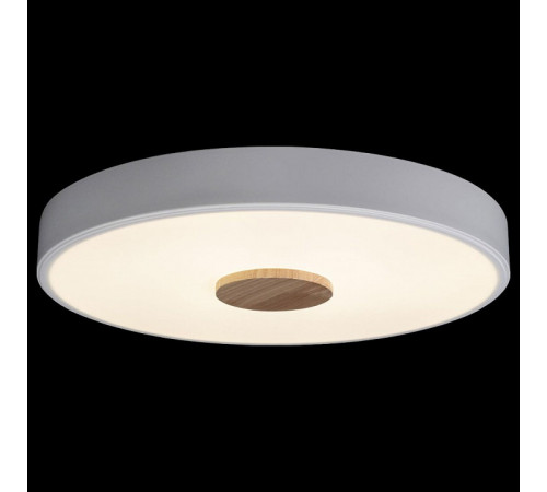 Потолочный светильник Loft IT AXEL 10003/24 White Потолочный светильник Loft IT AXEL 10003/24 White