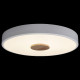 Потолочный светильник Loft IT AXEL 10003/24 White