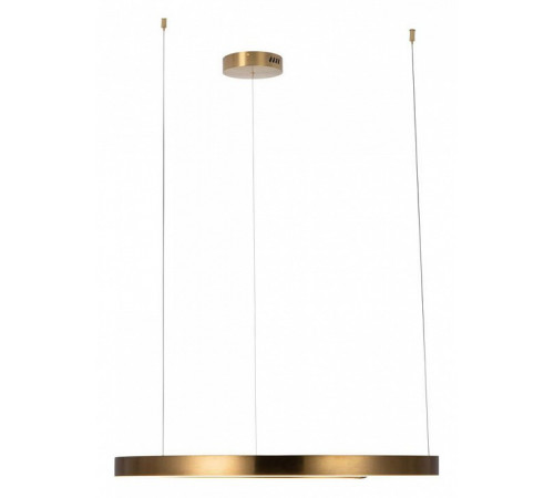 Подвесной светодиодный светильник Loft IT Ring 10013L