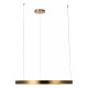 Подвесной светодиодный светильник Loft IT Ring 10013L