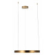 Подвесной светодиодный светильник Loft IT Ring 10013M