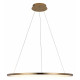 Подвесной светодиодный светильник Loft IT Ring 10014L