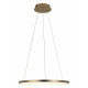 Подвесной светодиодный светильник Loft IT Ring 10014M