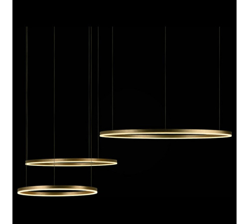 Подвесной светодиодный светильник Loft IT Ring 10017/3L