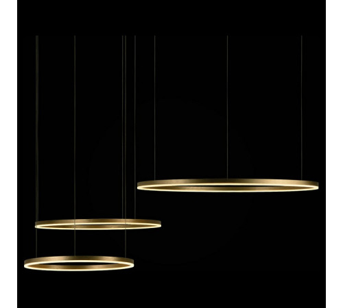 Подвесной светодиодный светильник Loft IT Ring 10017/3M