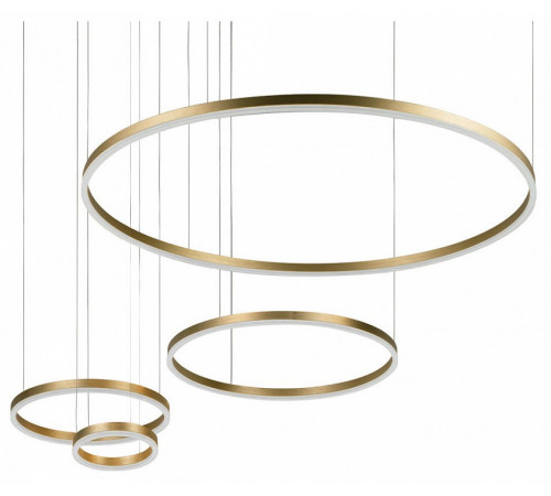 Подвесной светильник Loft IT Ring 10017/4M