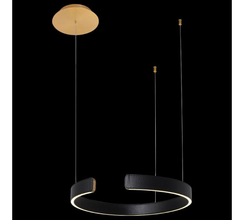 Подвесной светодиодный светильник Loft IT Ring 10025/400 Black