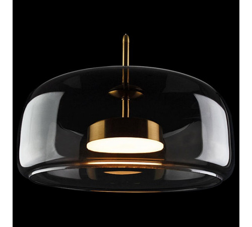Подвесной светильник Loft IT Dauphin 10041B