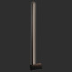 Настенный светильник Loft IT Rays 10055BK