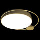 Потолочный светильник Loft IT Mike 10063