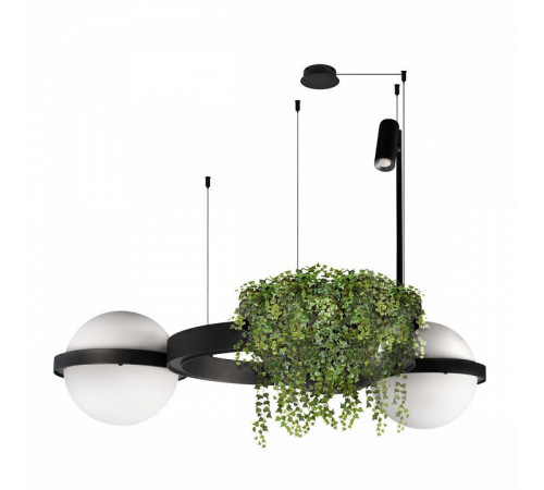 Торшер Loft IT Jardin 10121/F Dark grey Торшер Loft IT Jardin 10121/F Dark grey