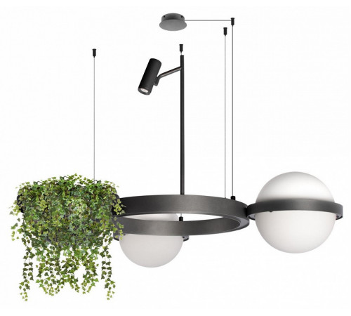 Подвесная люстра Loft IT Jardin 10121/2 Dark grey Подвесная люстра Loft IT Jardin 10121/2 Dark grey