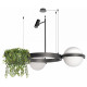 Подвесная люстра Loft IT Jardin 10121/2 Dark grey