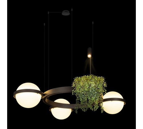 Подвесная люстра Loft IT Jardin 10121/3 Dark grey