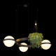 Подвесная люстра Loft IT Jardin 10121/3 Dark grey
